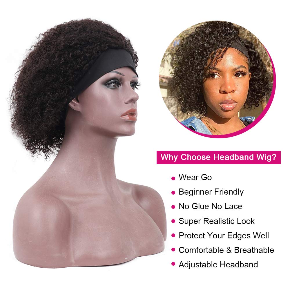 Glueless Wig Human Hair Curly for Black Women Natural Color